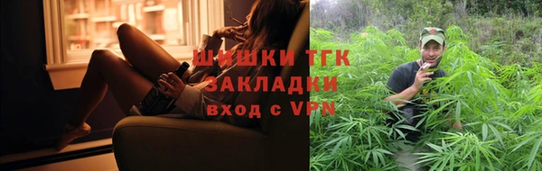 хмурый Арсеньев