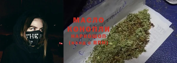 трава Ельня