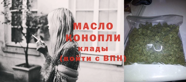 хмурый Арсеньев