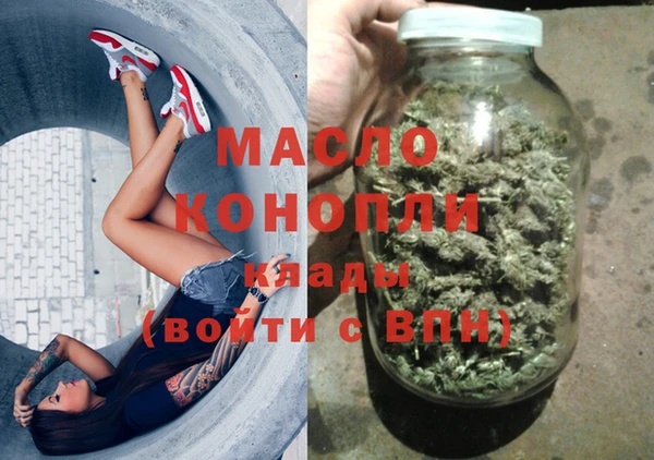 хмурый Арсеньев