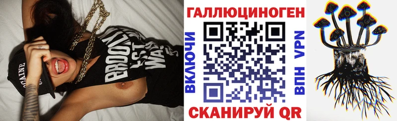 купить наркотики цена  Ртищево  нарко площадка телеграм  Псилоцибиновые грибы мухоморы 